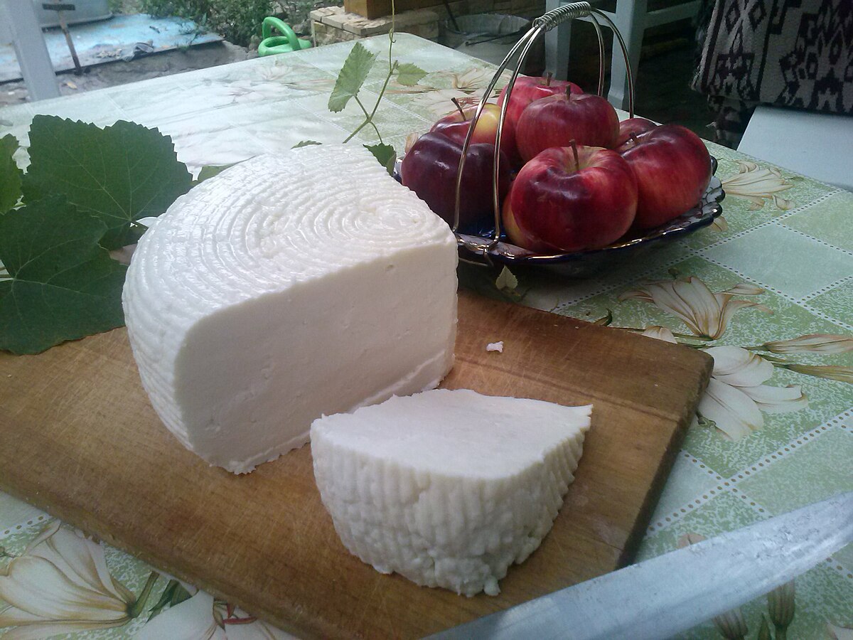 Adyghe cheese, the most famous Circassian dairy product from the Caucasus